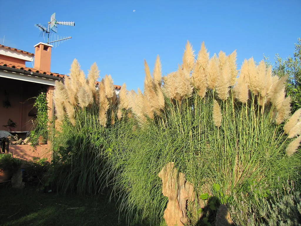 B&B Luna Ruja Cannigione 0*,